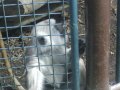 IMGP0891.JPG